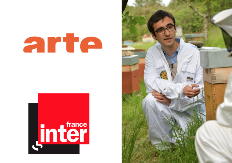 Suite de l&rsquo;action « abeilles mortes » dans les médias