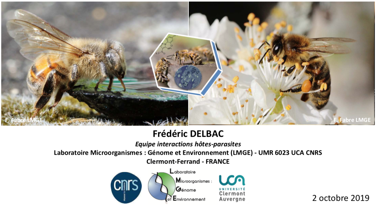 Soirée mensuelle d&rsquo;octobre : Impact de Nosema ceranae sur la santé des abeilles