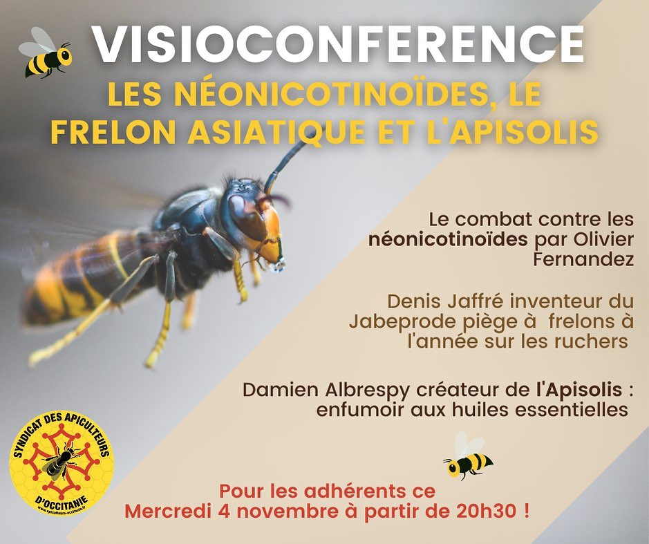 Visio-Conférence mensuelle : Les néonicotinoïdes, le frelon asiatique et l&rsquo;Apisolis.