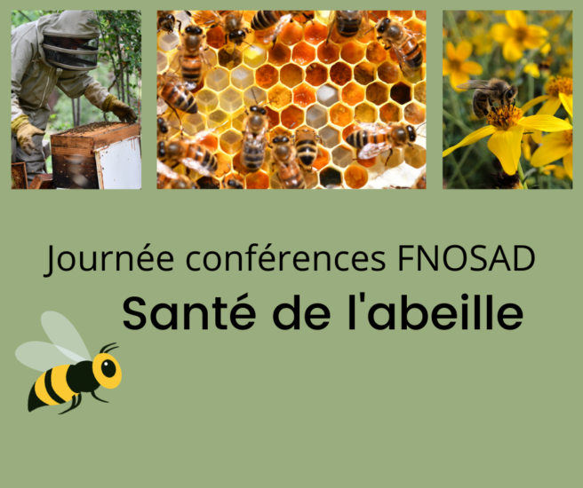 Santé de l&rsquo;abeille-FNOSAD
