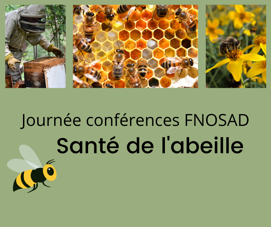 Santé de l&rsquo;abeille-FNOSAD