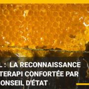 Miel: la reconnaissance d&rsquo;Interapi confortée par le Conseil d&rsquo;Etat