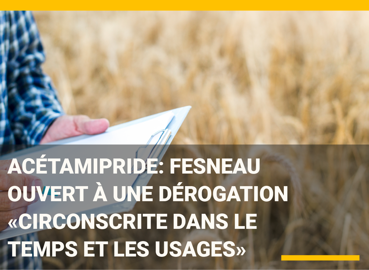 Acétamipride: Fesneau ouvert à une dérogation «circonscrite dans le temps et les usages»