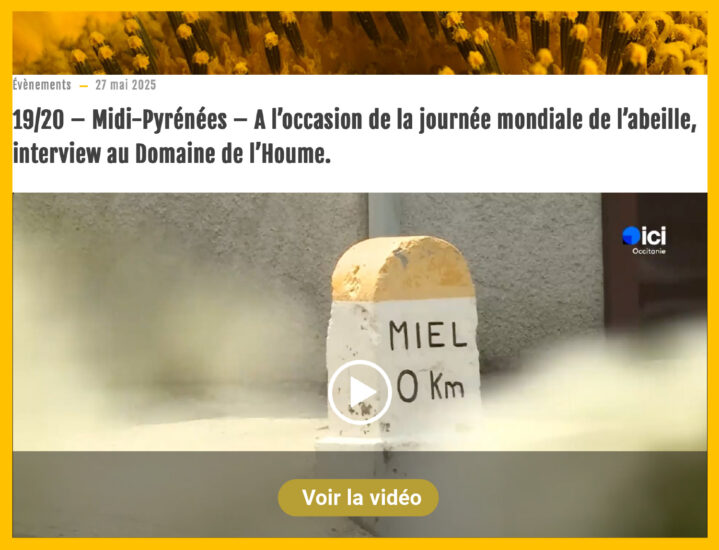 19/20 – Midi-Pyrénées – A l’occasion de la journée mondiale de l’abeille, interview au Domaine de l’Houme.